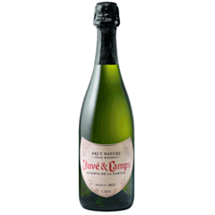 Juvé & Camps Reserva de la Famillla Brut Nature