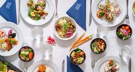 Dinner plate with gourmet meal and a glass of wine