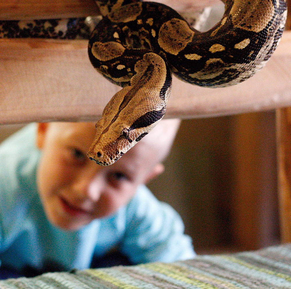 Parnu Mini Zoo Lähde: Kairi Tähe Visit Pärnu