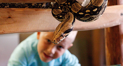 Parnu Mini Zoo Lähde: Kairi Tähe Visit Pärnu